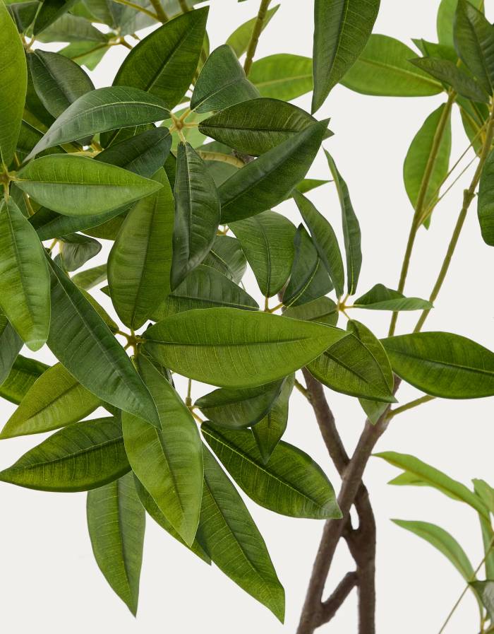 PACHIRA  artificiel avec pot noir 180 cm