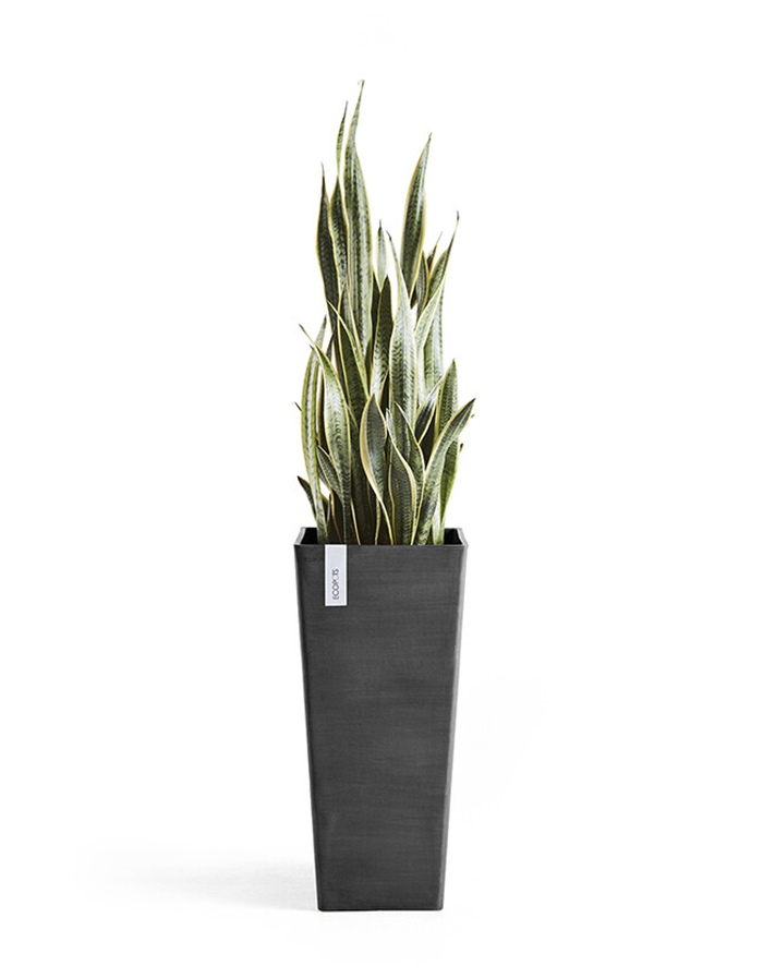 Rotterdam 70 Dark Grey