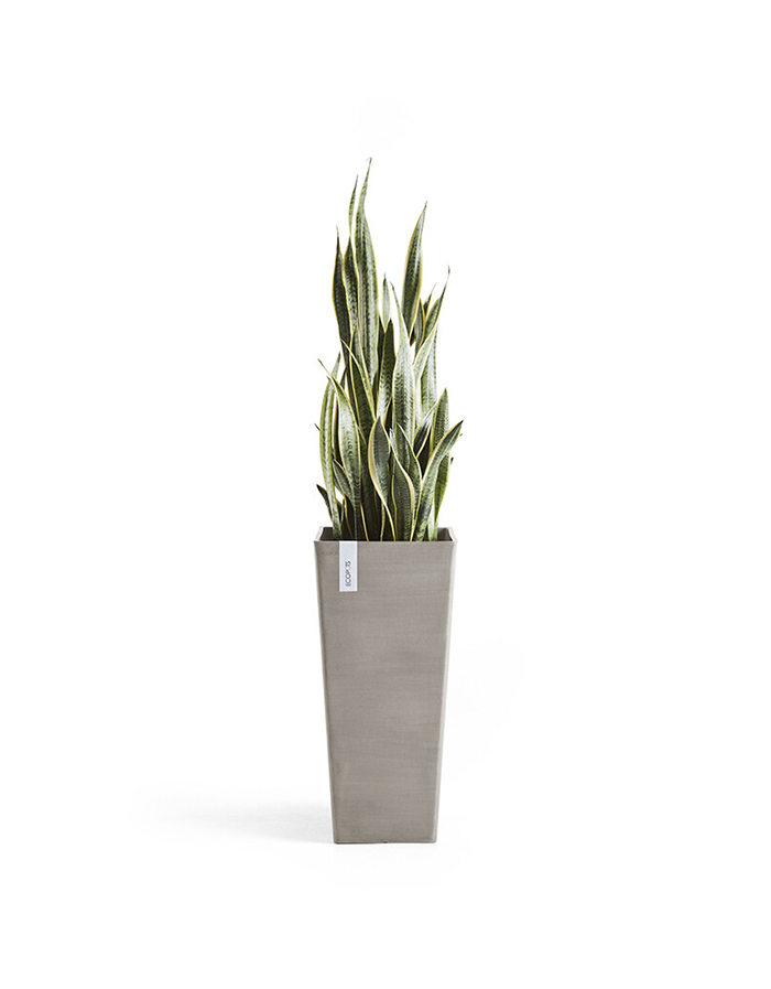 Rotterdam 70 Taupe