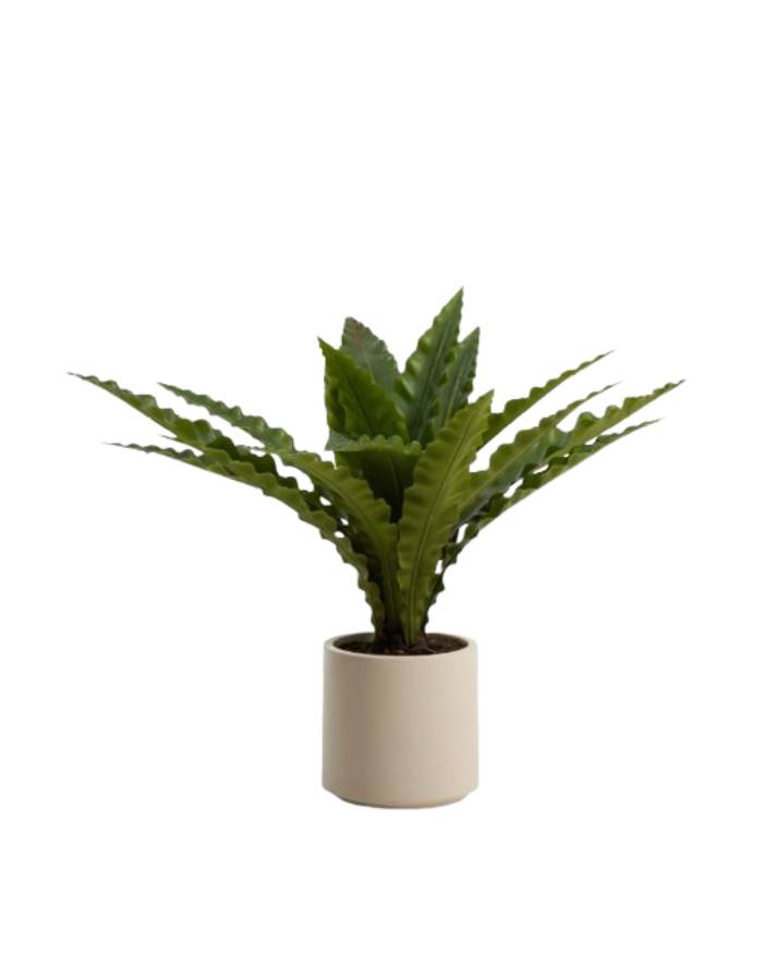 PLANTE ARTIFICIELLE NEOTTOPTERIS AVEC POT BLANC 70 CM